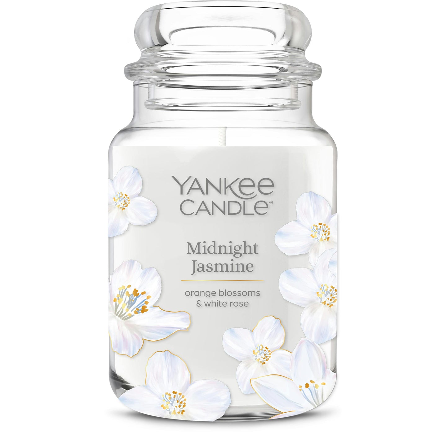 Midnight Jasmine - 8V8M