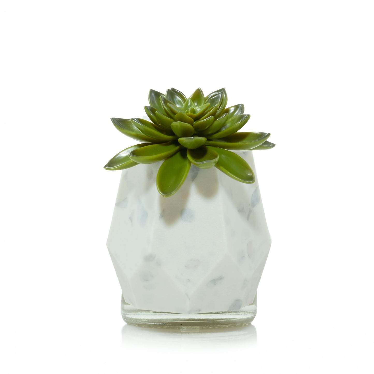 Faceted Succulent ScentPlug® Diffuser with Light - GME9