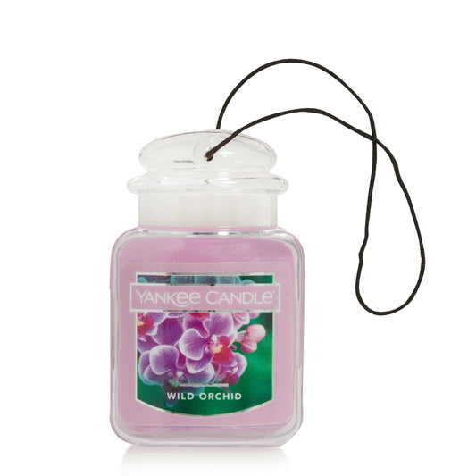 Wild Orchid - ZYLV