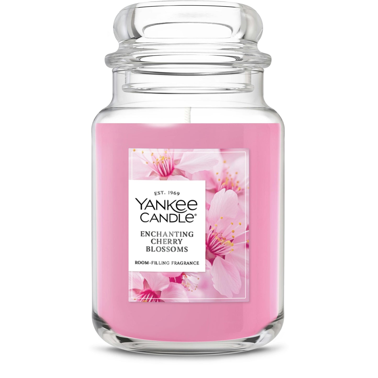 Enchanting Cherry Blossoms - Z4QJ