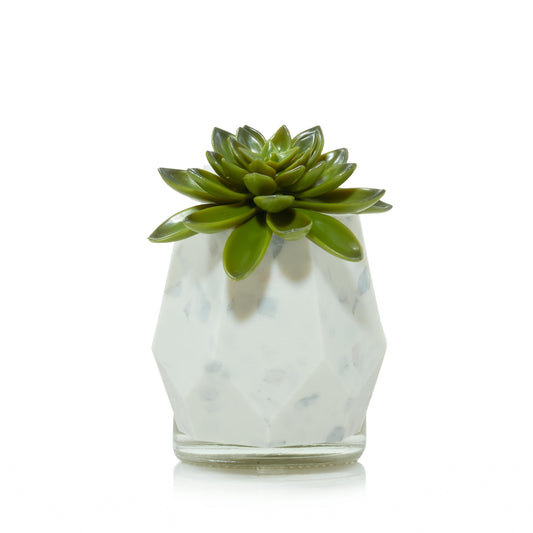 Faceted Succulent ScentPlug® Diffuser with Light - GME9